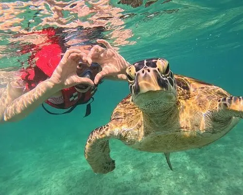 Snorkeling & Beach Day